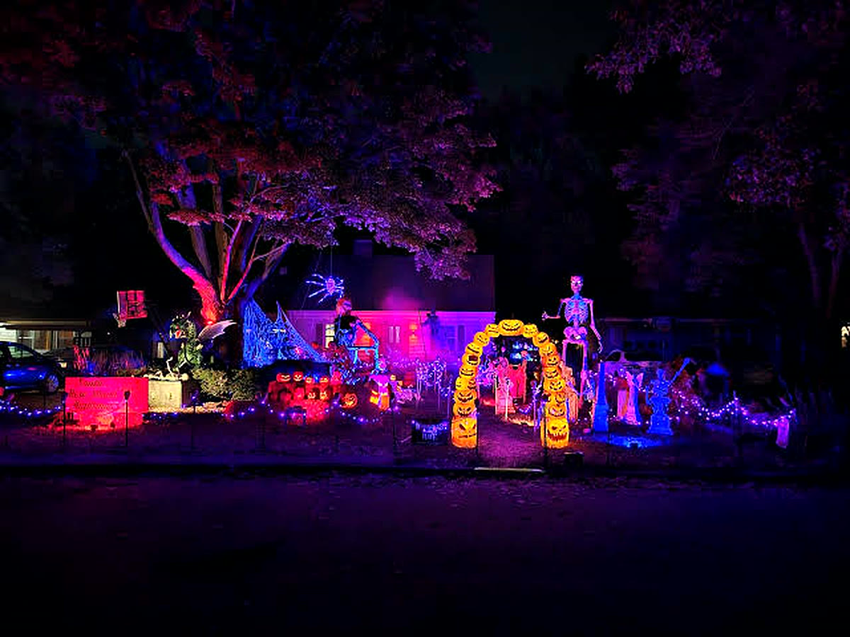 Front yard at night with an uplit tree, a jack-o'-lantern arch and path lights